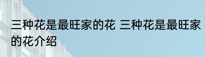 三种花是最旺家的花 三种花是最旺家的花介绍