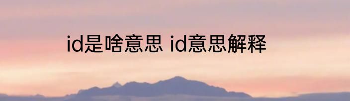 id是啥意思 id意思解释