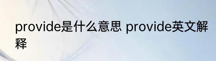 provide是什么意思 provide英文解释