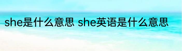 she是什么意思 she英语是什么意思