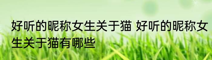 好听的昵称女生关于猫 好听的昵称女生关于猫有哪些