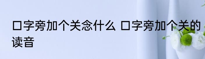 口字旁加个关念什么 口字旁加个关的读音