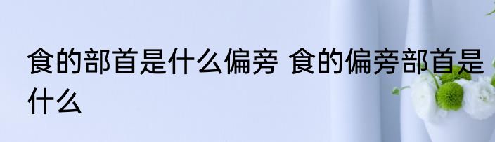 食的部首是什么偏旁 食的偏旁部首是什么