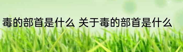 毒的部首是什么 关于毒的部首是什么