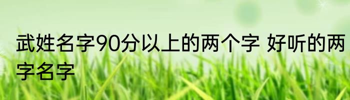 武姓名字90分以上的两个字 好听的两字名字