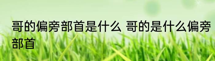 哥的偏旁部首是什么 哥的是什么偏旁部首