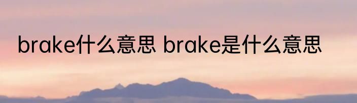 brake什么意思 brake是什么意思
