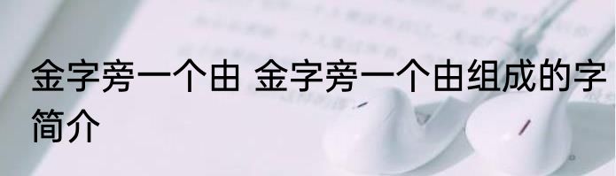 金字旁一个由 金字旁一个由组成的字简介