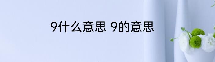 9什么意思 9的意思