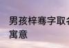 男孩梓骞字取名的寓意 梓骞字取名的寓意