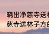 晓出净慈寺送林子方什么意思 晓出净慈寺送林子方的意思