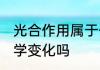光合作用属于什么变化 光合作用是化学变化吗