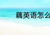 藕英语怎么说 藕英语如何说