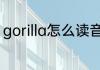gorilla怎么读音发音 gorilla英文解释