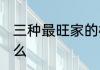 三种最旺家的树 三种最旺家的树是什么