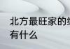 北方最旺家的绿植 北方最旺家的绿植有什么