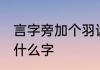 言字旁加个羽读什么 言字旁加个羽是什么字