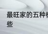 最旺家的五种树 最旺家的五种树有哪些
