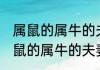 属鼠的属牛的夫妻养什么花最旺家 属鼠的属牛的夫妻种植什么植物最旺