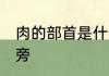 肉的部首是什么偏旁 肉是什么部首偏旁