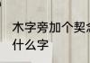 木字旁加个契念什么 木字旁加个契是什么字