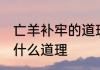 亡羊补牢的道理是什么 亡羊补牢是是什么道理
