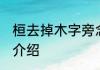 桓去掉木字旁念什么 桓去掉木字读音介绍
