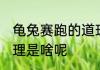 龟兔赛跑的道理是什么 龟兔赛跑的道理是啥呢