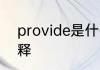 provide是什么意思 provide英文解释