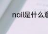 nail是什么意思 nail英文解释