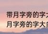 带月字旁的字大多与什么有关 常见带月字旁的字大多与什么有关