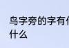 鸟字旁的字有什么 常见鸟字旁的字有什么