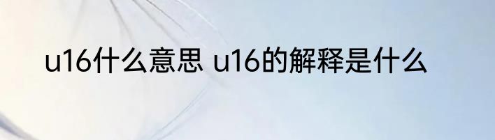u16什么意思 u16的解释是什么