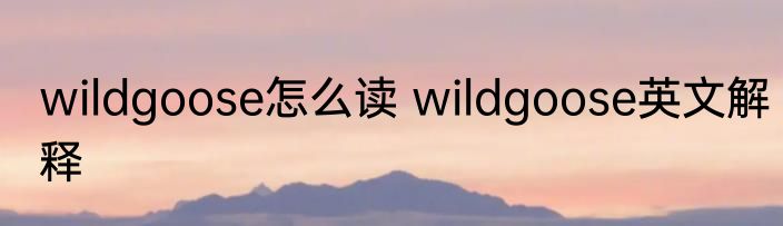 wildgoose怎么读 wildgoose英文解释