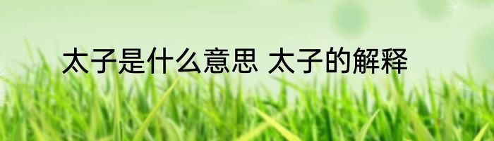 太子是什么意思 太子的解释