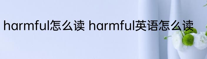 harmful怎么读 harmful英语怎么读