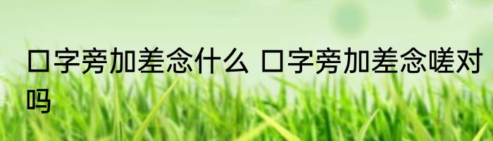 口字旁加差念什么 口字旁加差念嗟对吗