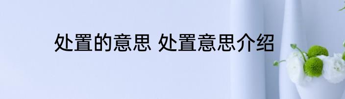 处置的意思 处置意思介绍