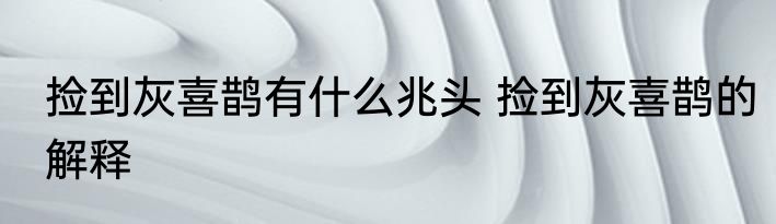 捡到灰喜鹊有什么兆头 捡到灰喜鹊的解释