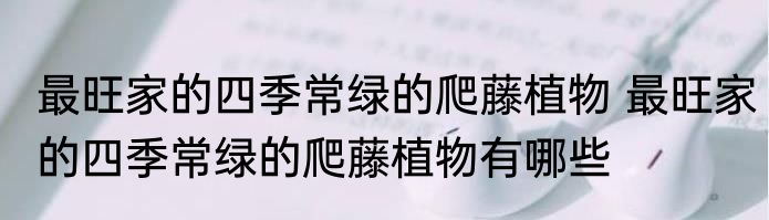 最旺家的四季常绿的爬藤植物 最旺家的四季常绿的爬藤植物有哪些