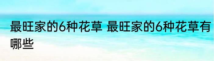 最旺家的6种花草 最旺家的6种花草有哪些