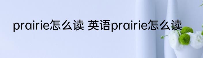 prairie怎么读 英语prairie怎么读