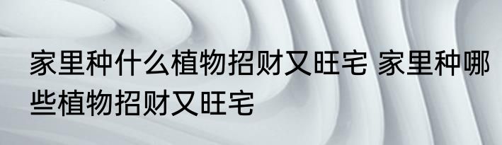 家里种什么植物招财又旺宅 家里种哪些植物招财又旺宅