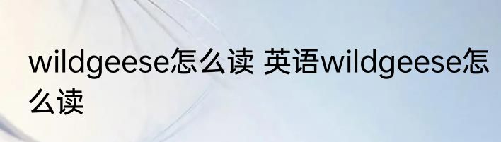 wildgeese怎么读 英语wildgeese怎么读
