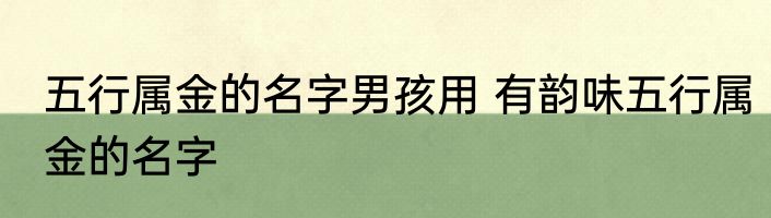五行属金的名字男孩用 有韵味五行属金的名字