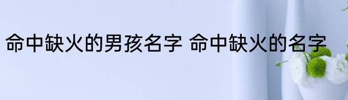 命中缺火的男孩名字 命中缺火的名字