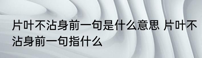 片叶不沾身前一句是什么意思 片叶不沾身前一句指什么