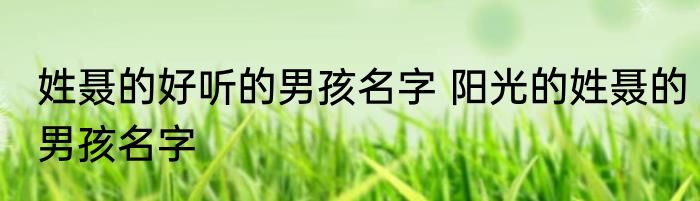 姓聂的好听的男孩名字 阳光的姓聂的男孩名字