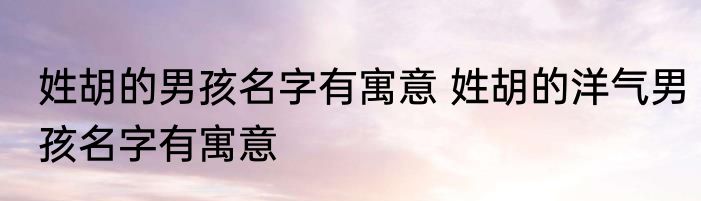 姓胡的男孩名字有寓意 姓胡的洋气男孩名字有寓意