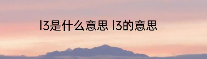 l3是什么意思 l3的意思